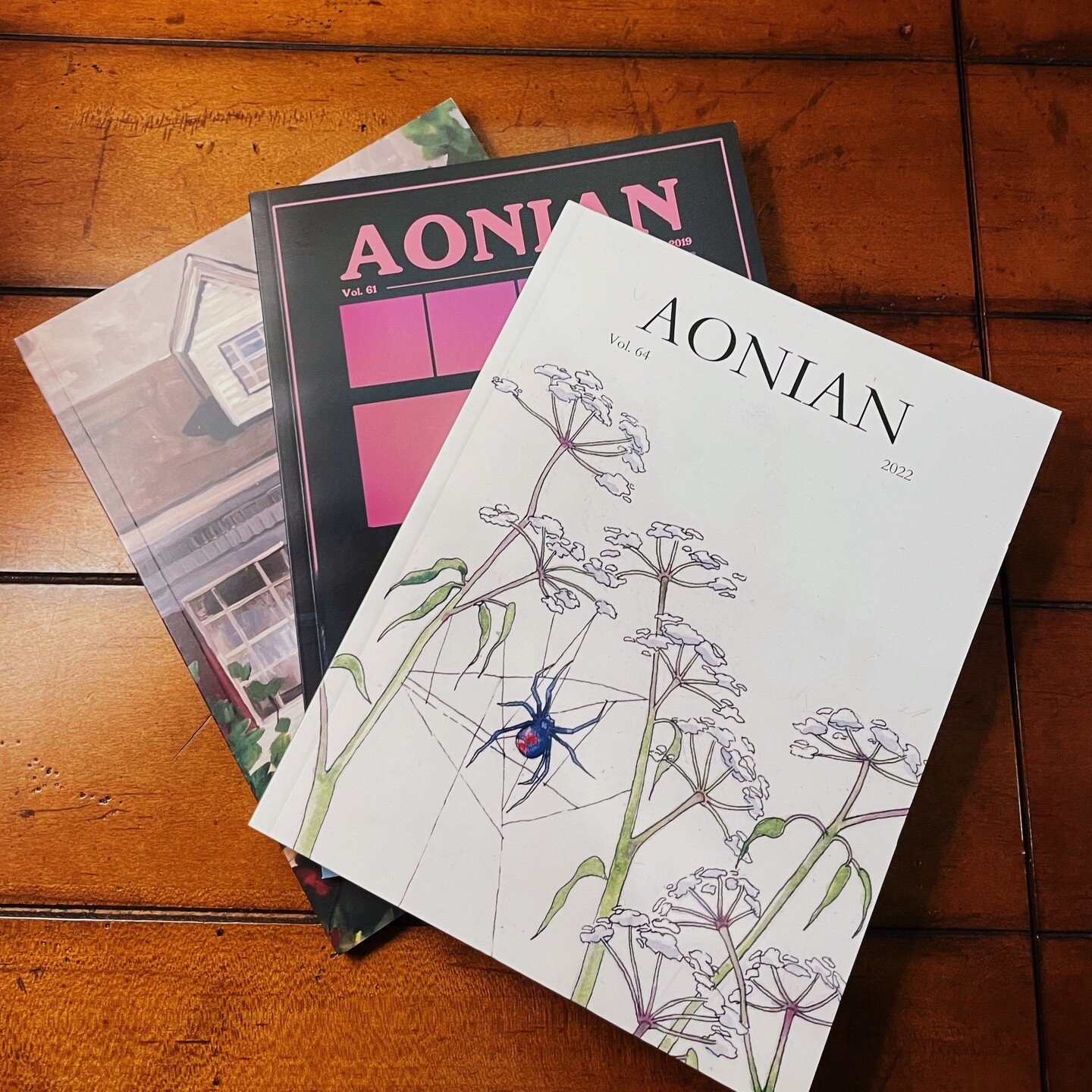 Do you have creative work to share? ✏️ The Aonian Literary magazine is open for submissions! Send in your poetry, prose, art, and photography to the Aonian by emailing Aoniansubmissions@gmail.com! The Aonian publishes student work, and there are mone