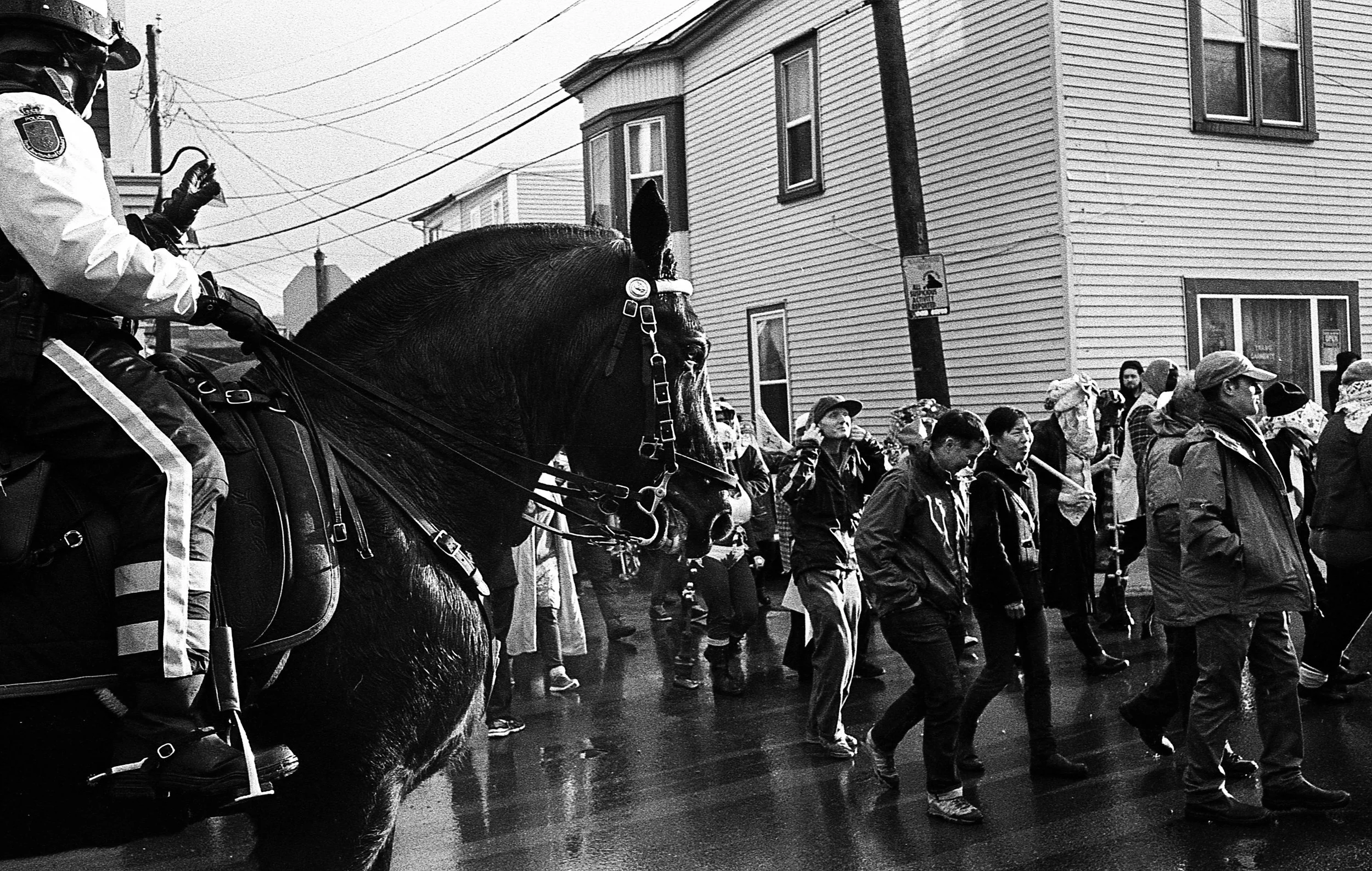 1412-Mummers003.jpg