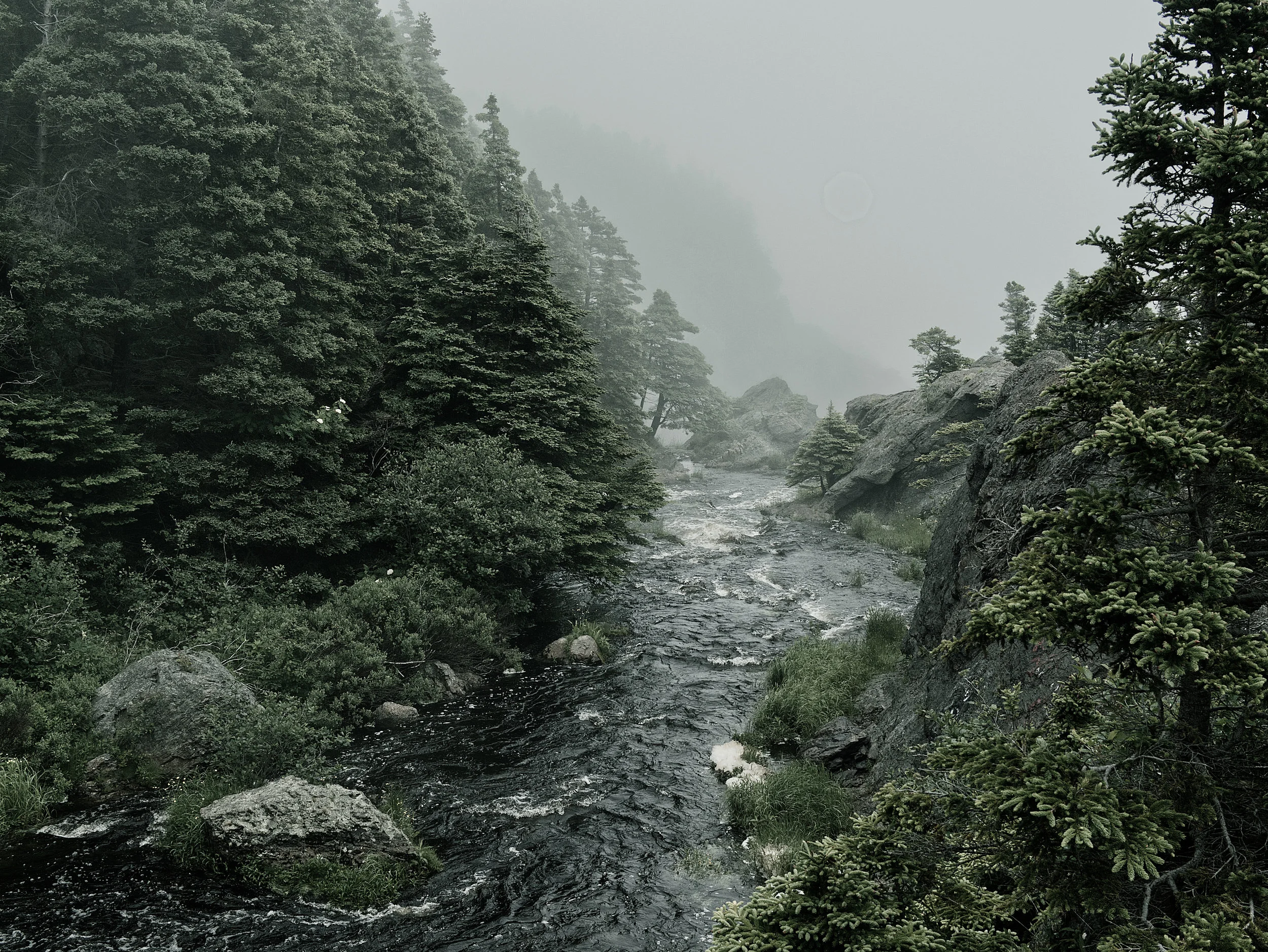 _7150155.jpg