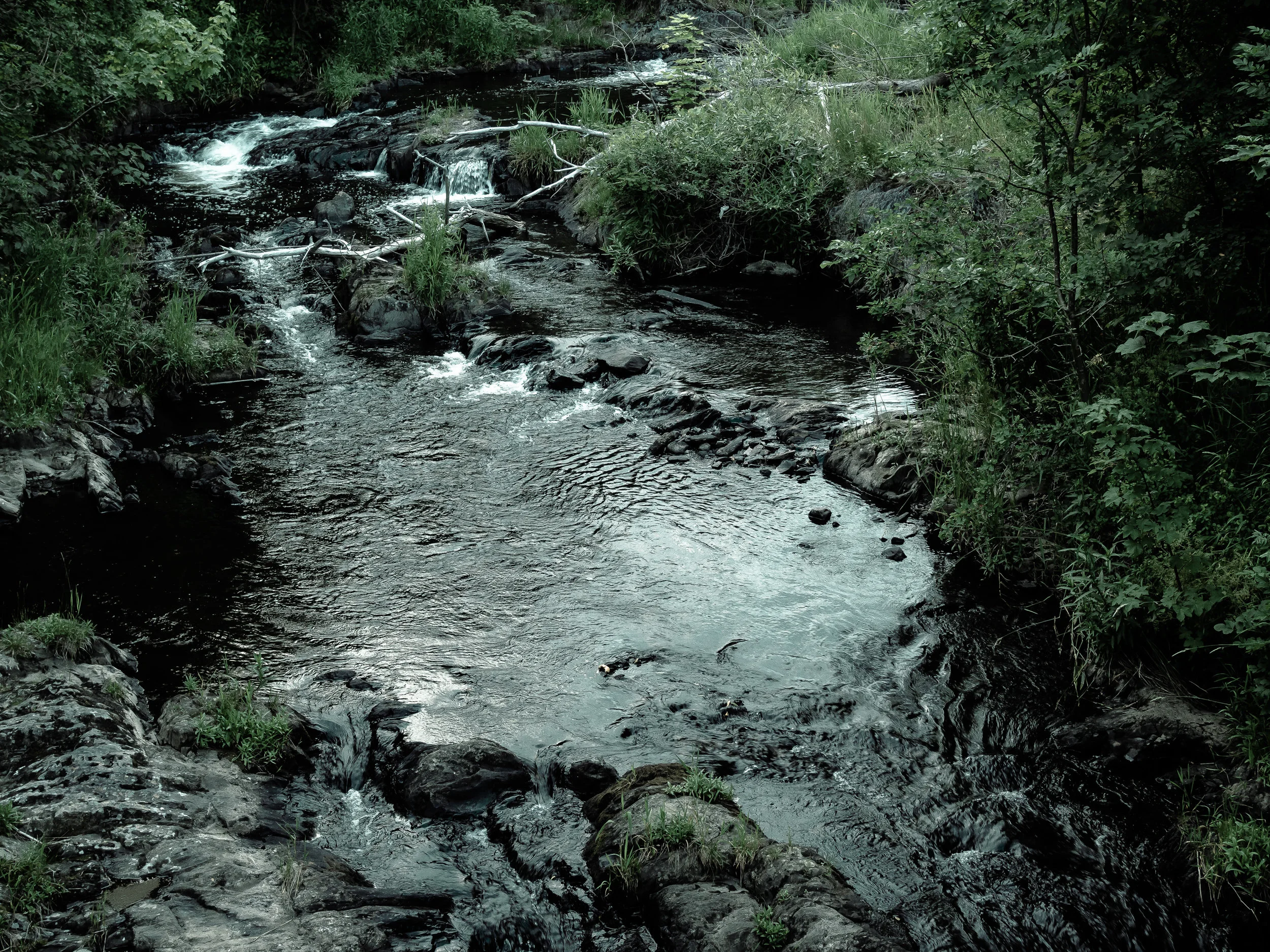 _8040277.jpg