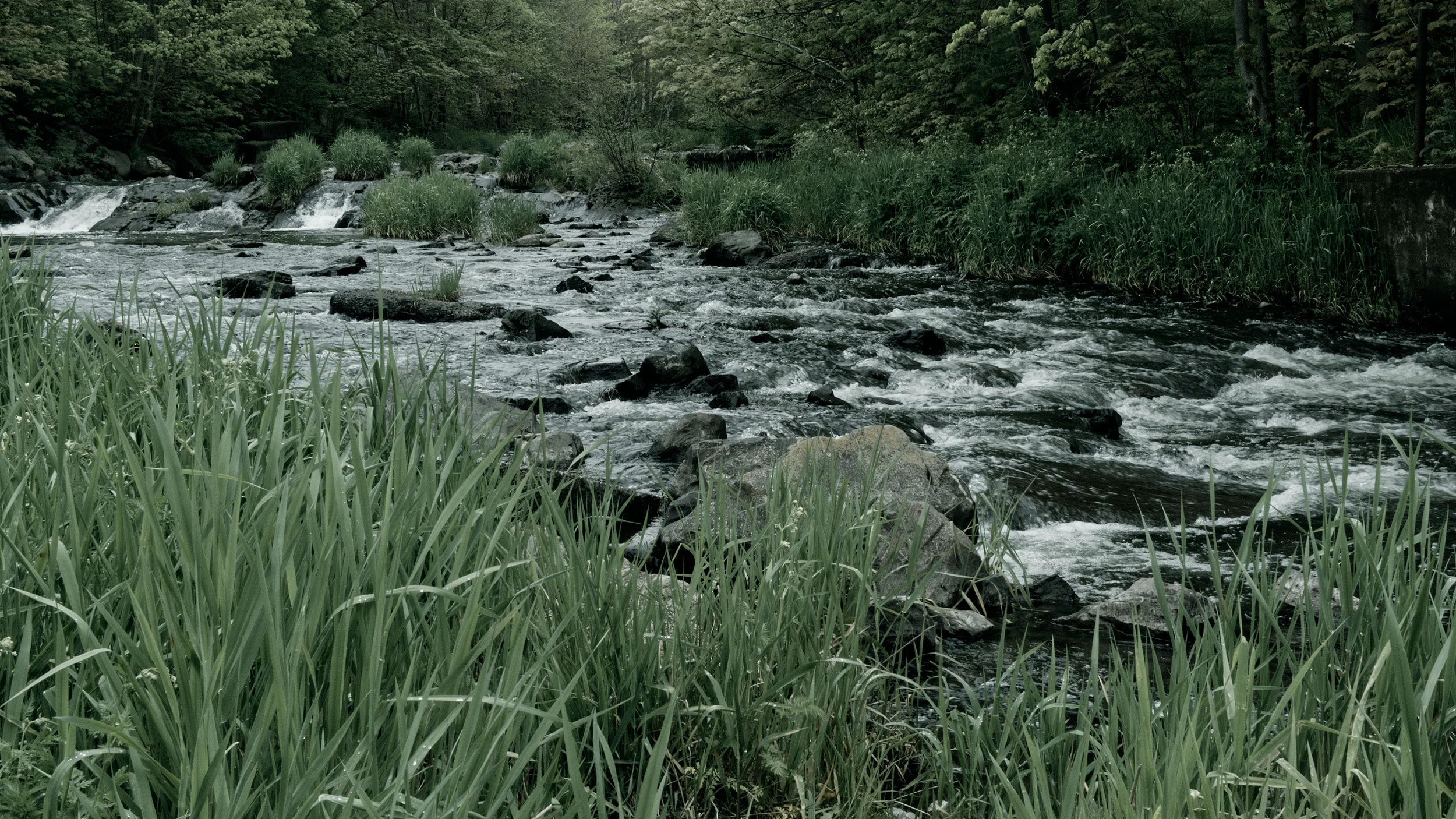 _6161000.jpg
