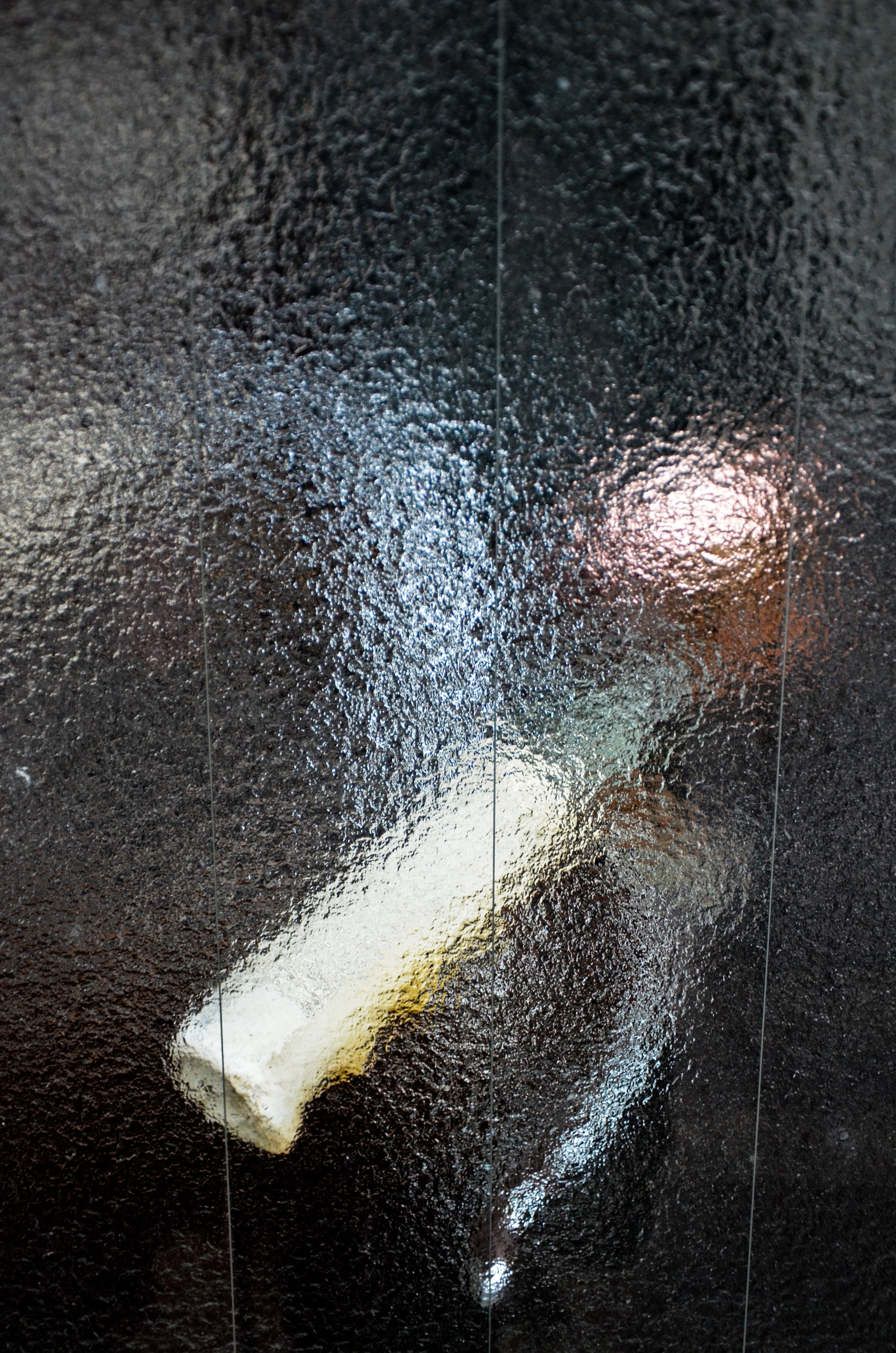 DSC_0786.jpg
