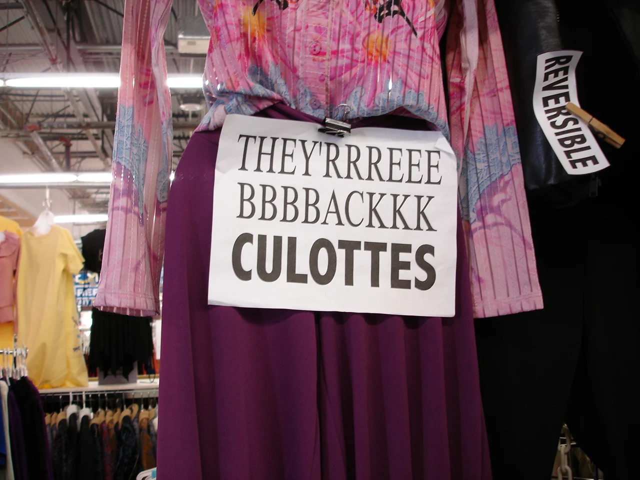CULOTTES.JPG