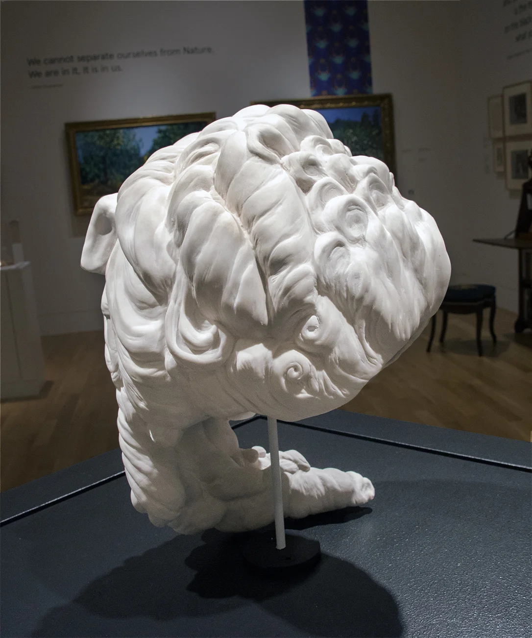 02 wig opposite dark copy 2.jpg
