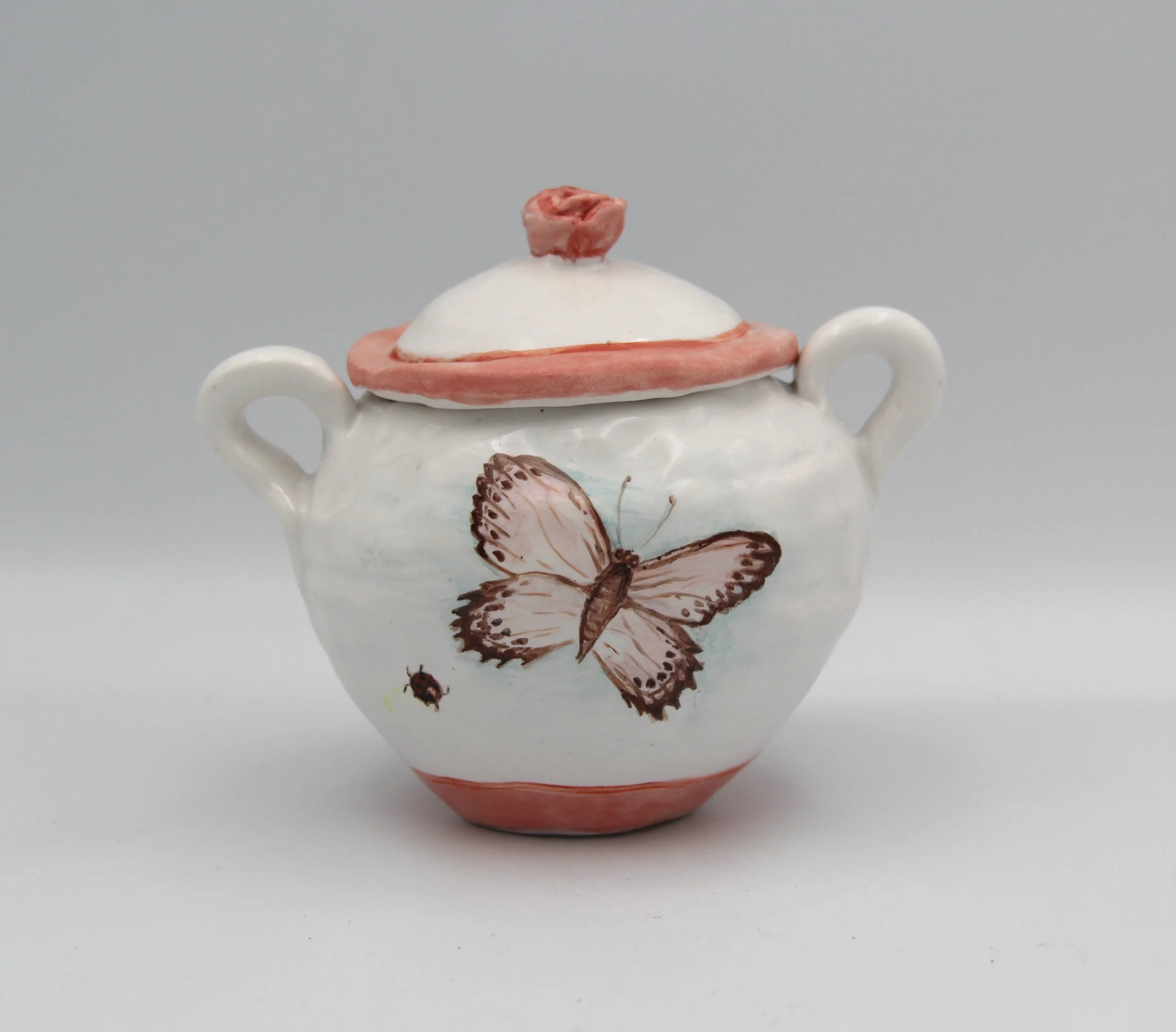 butterfly jar b.jpg