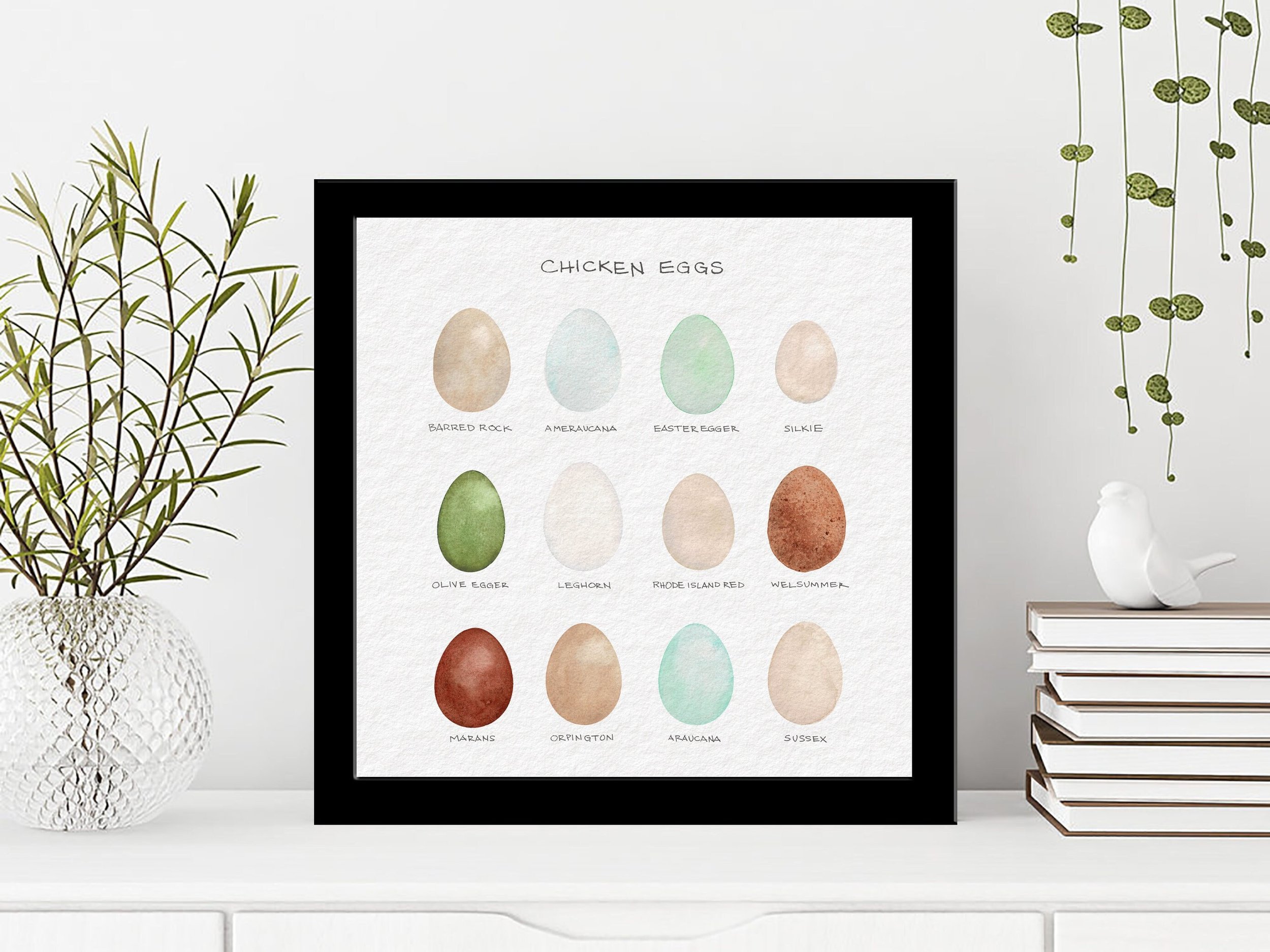 Chicken Egg Colors ~ Framed Art Print ~ Original Watercolor Print ~ Chicken breed egg chart