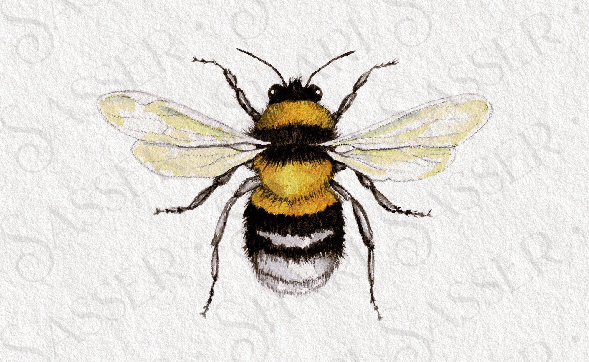 Bumblebee Watercolor Digital Download ~ jpg and png for sublimation ~ vertical and square printable