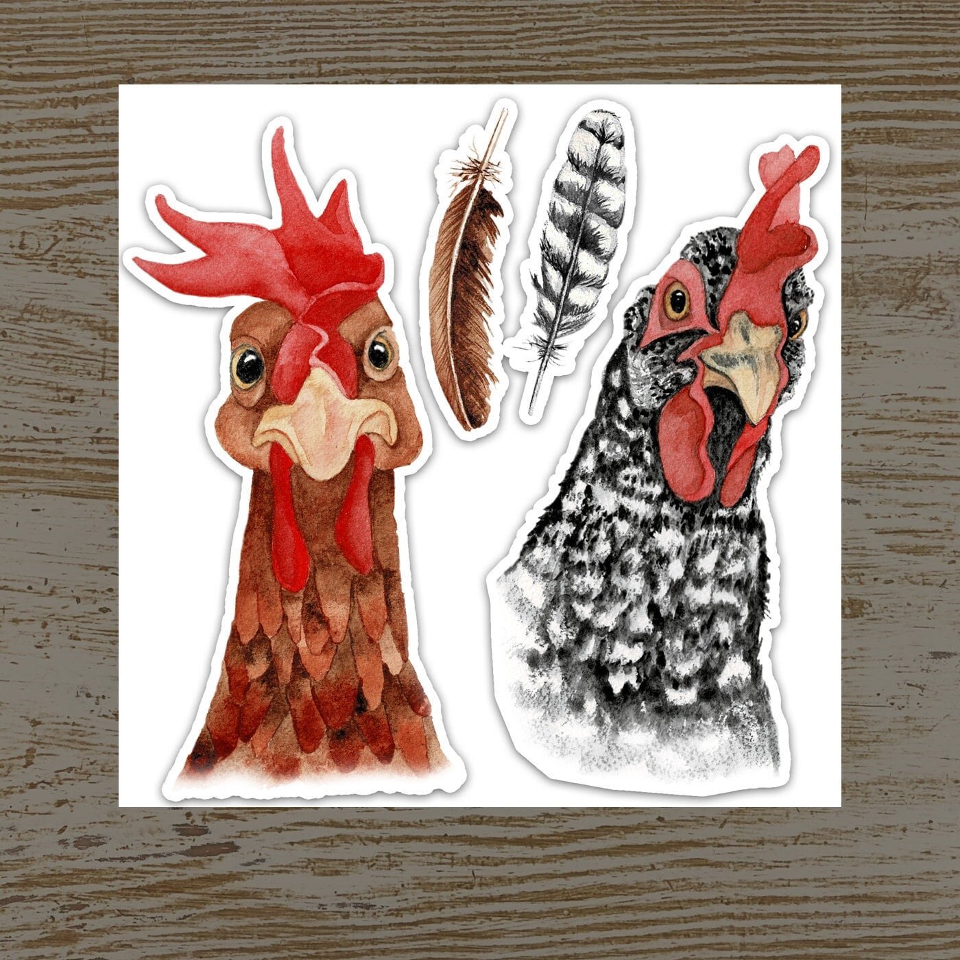 Hilarious Hens Funny Chicken Stickers sheet