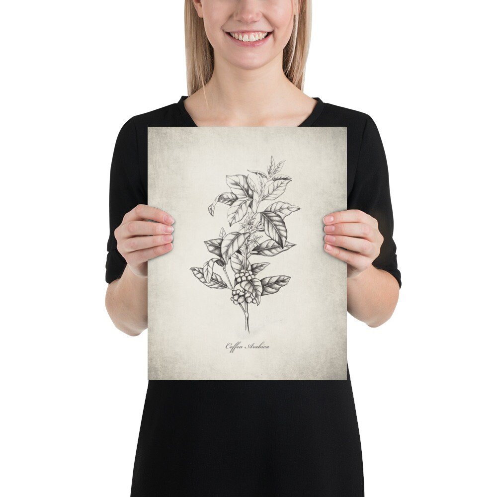 https://i.etsystatic.com/24387390/r/il/f81b57/3760706381/il_fullxfull.3760706381_l43u.jpg