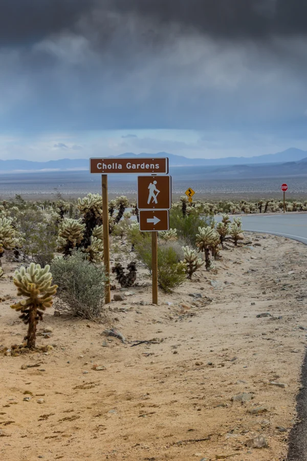 Cholla Gardens Sign