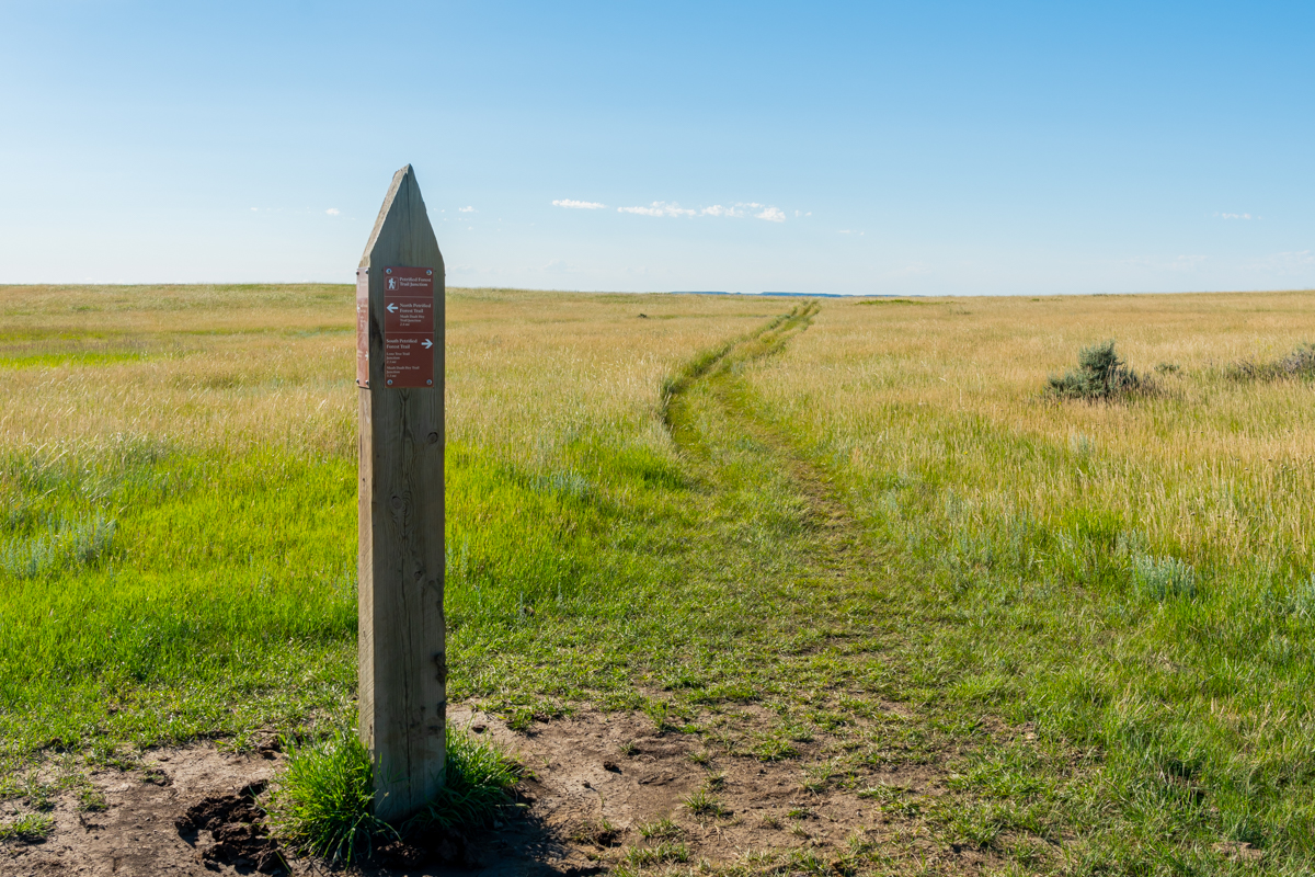 Petrified Trail Junction Sign