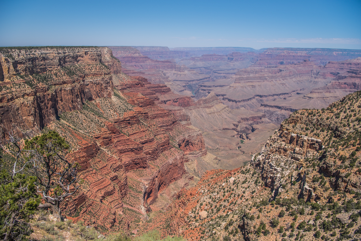 Layers of Sedimentary Rock in the Grand Canyon