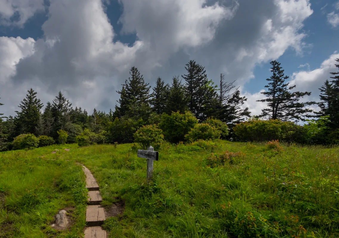 Trail through Andrews Bald
