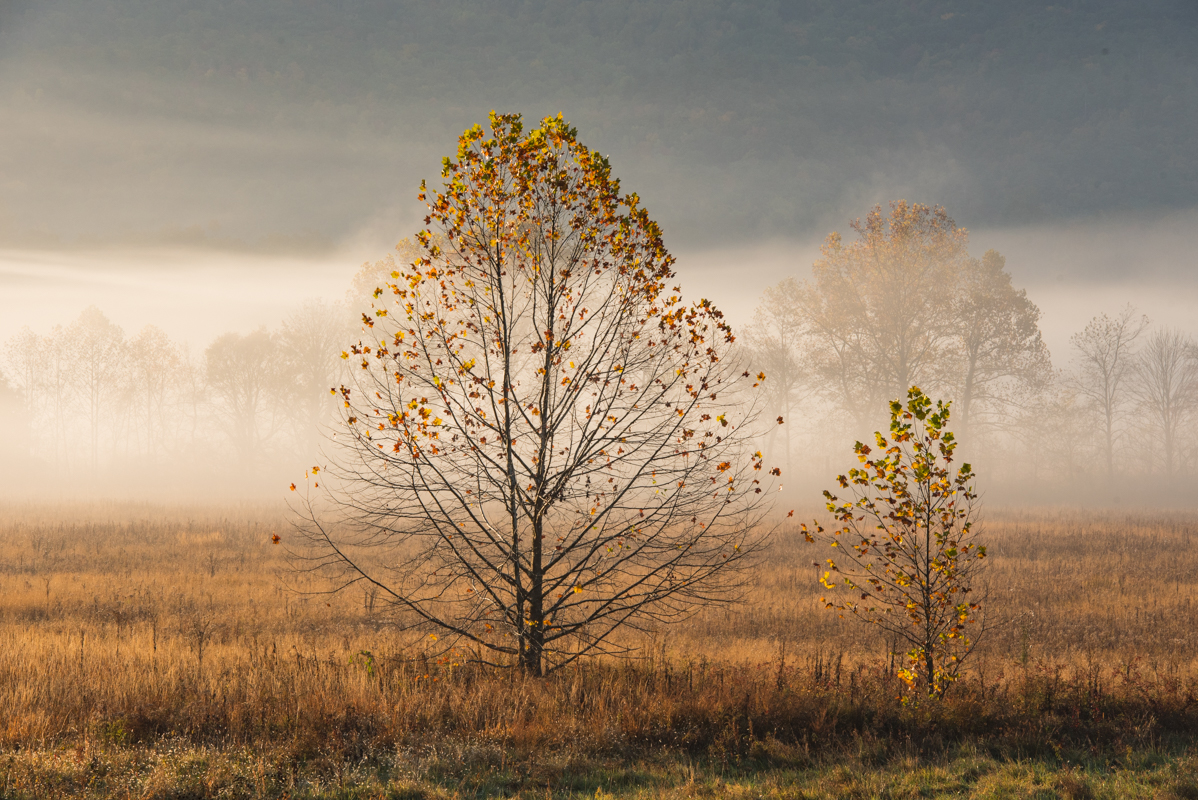 Smoky fall in Cades Cove