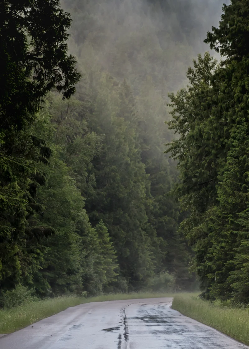 The Road to Bowman Lake