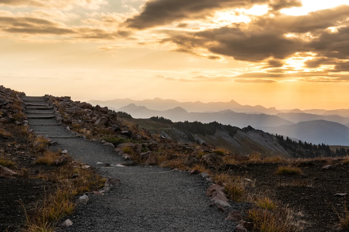 The Skyline Trail winds up to above Panorama Point