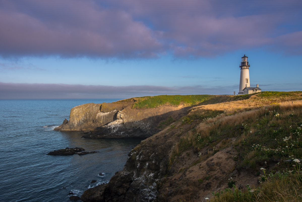 Morning Light in Yaquina Natural Outstanding Area