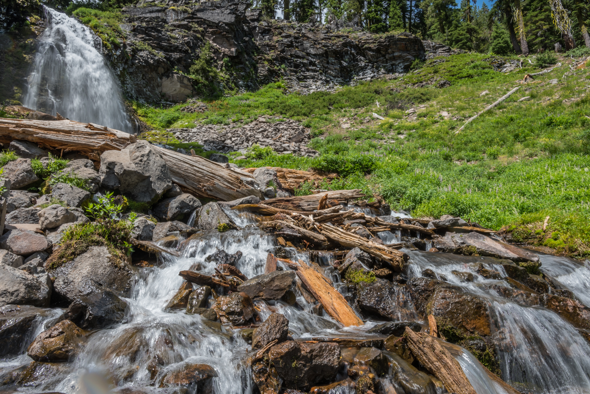 Water Falls Through Busted Old Trees