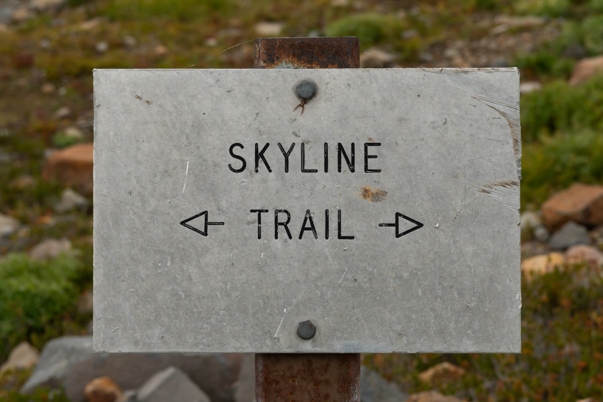 Skyline Trail Arrows Sign