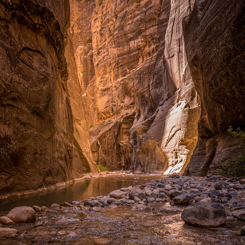 Ten in Zion, Bryce, and Capitol National — Drive. Hike. Repeat.