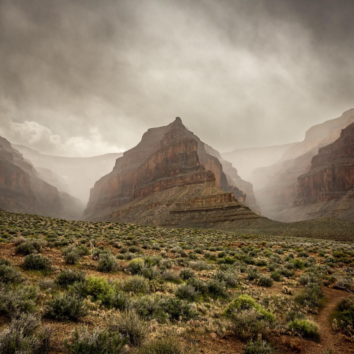 One thing you can count on in the Grand Canyon are views so wild they literally stop you in your tracks. When we rounded the corner on the Tonto Trail toward Vesta Temple last week, our conversation and steps just halted as we took in the mesmerizing