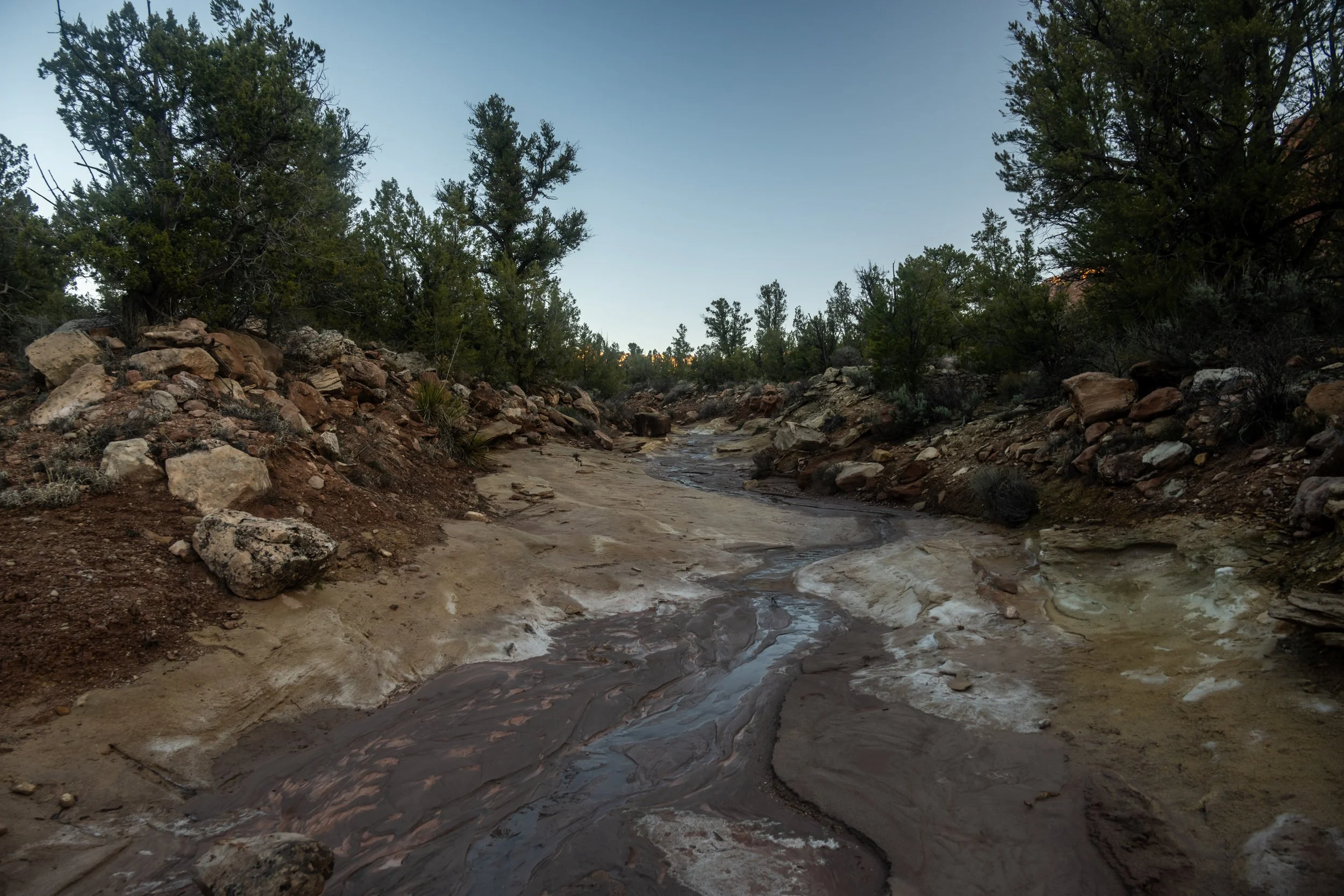 Chinle Trail and Coalpits Wash — Drive. Hike. Repeat.