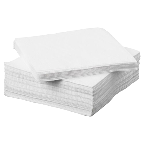 LUNCH NAPKIN (NB).png