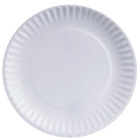 PIZZA PLATE (NB).png