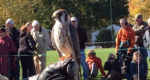 brian and falcon.jpg