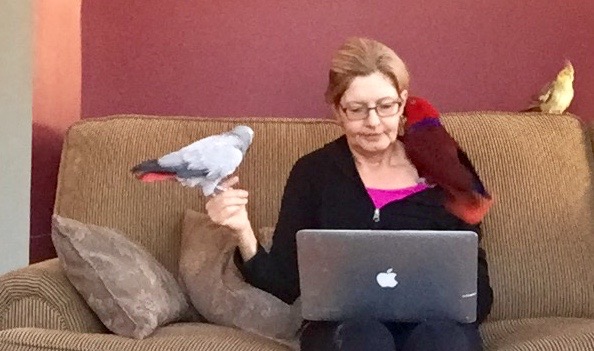  My unlikely flock chooses to join me while I write this blog.