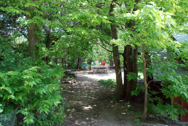 Path down to the barbecue