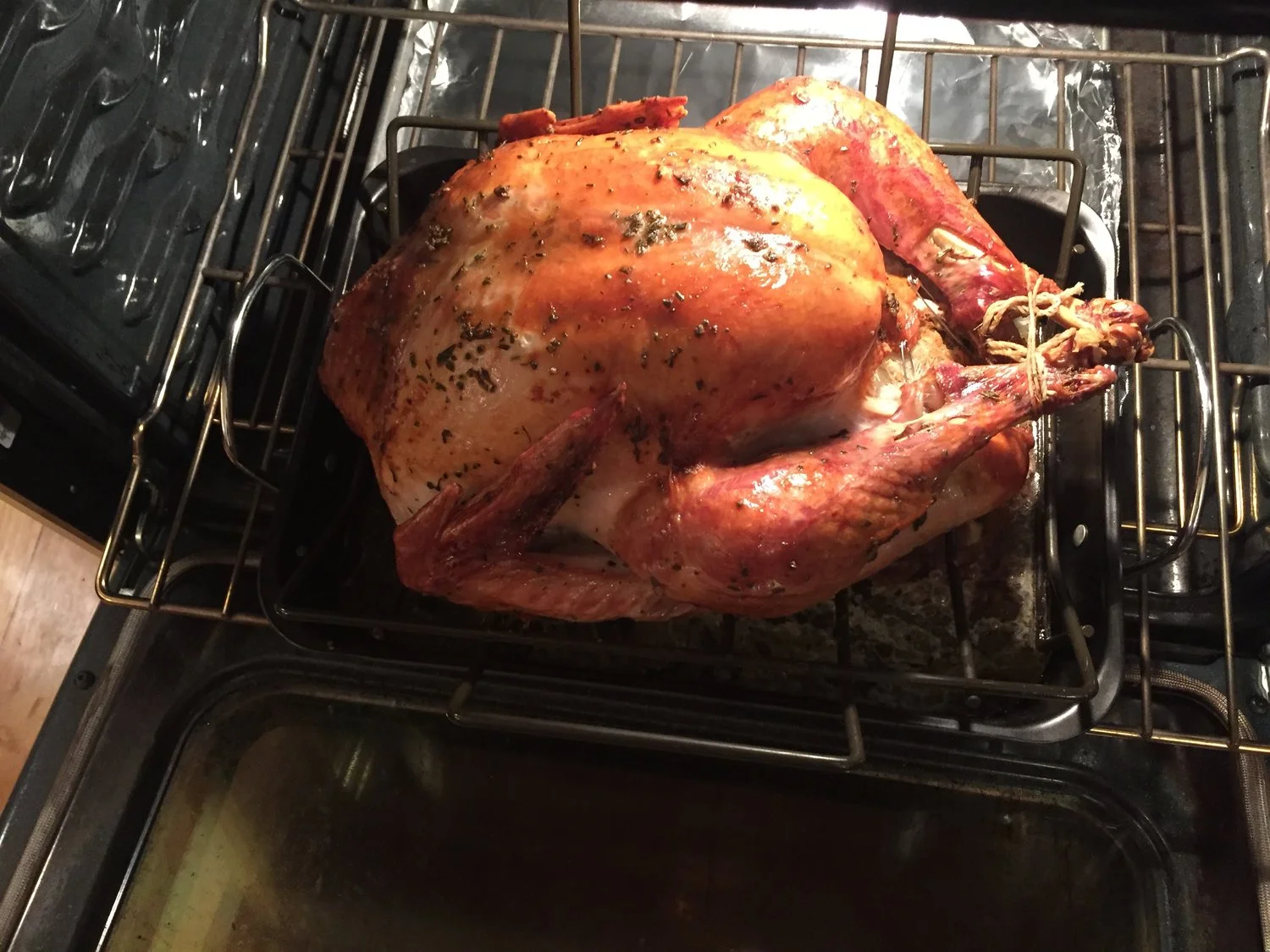 Thanksgiving Turkey.jpeg