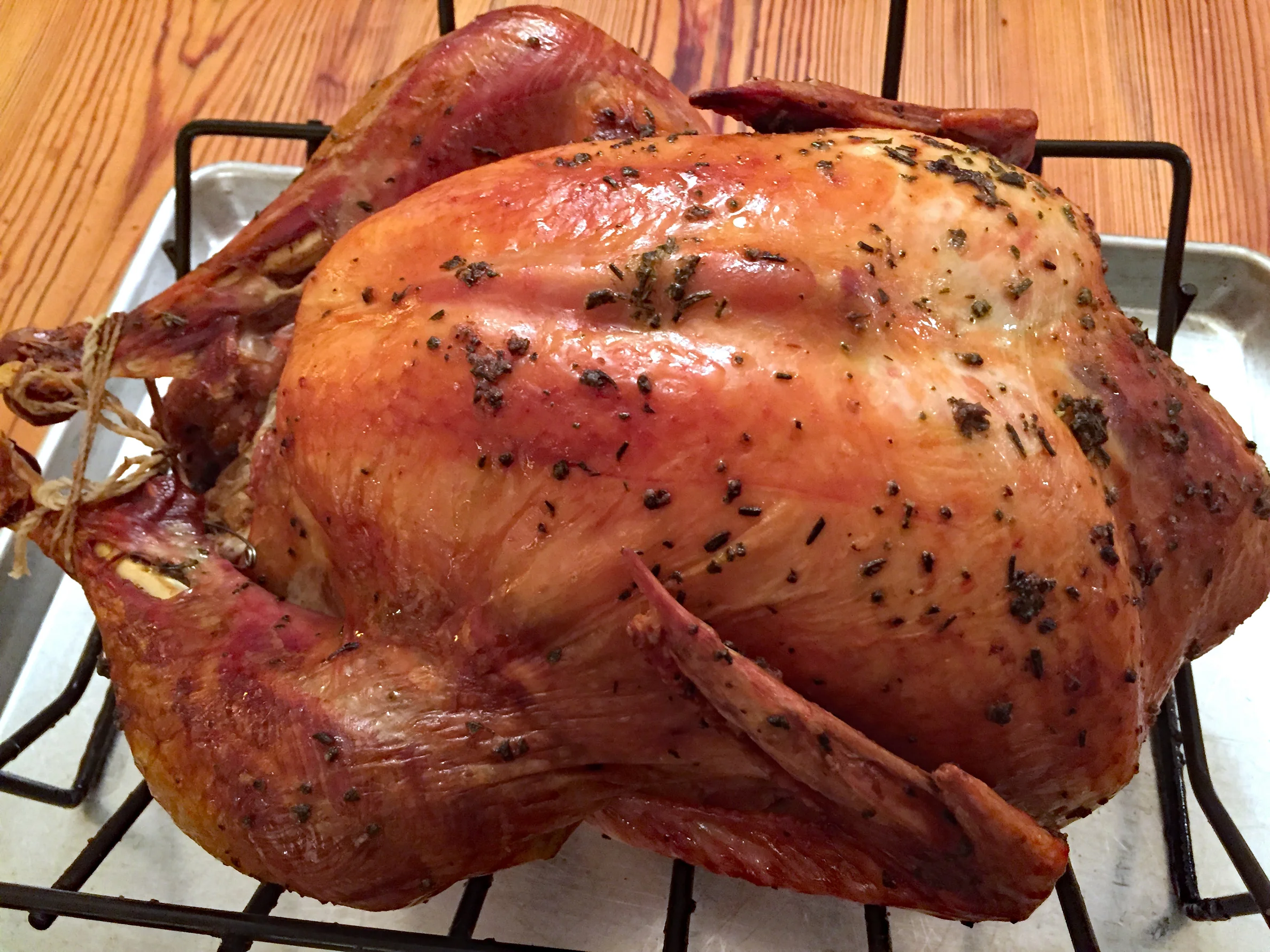 The Turkey!.jpg