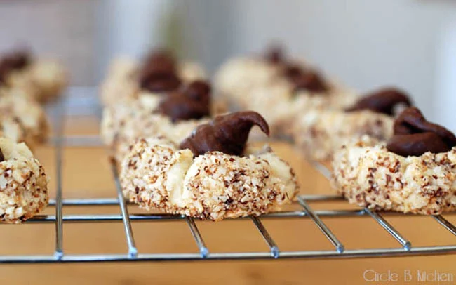 Thumbprint Cookies.jpg