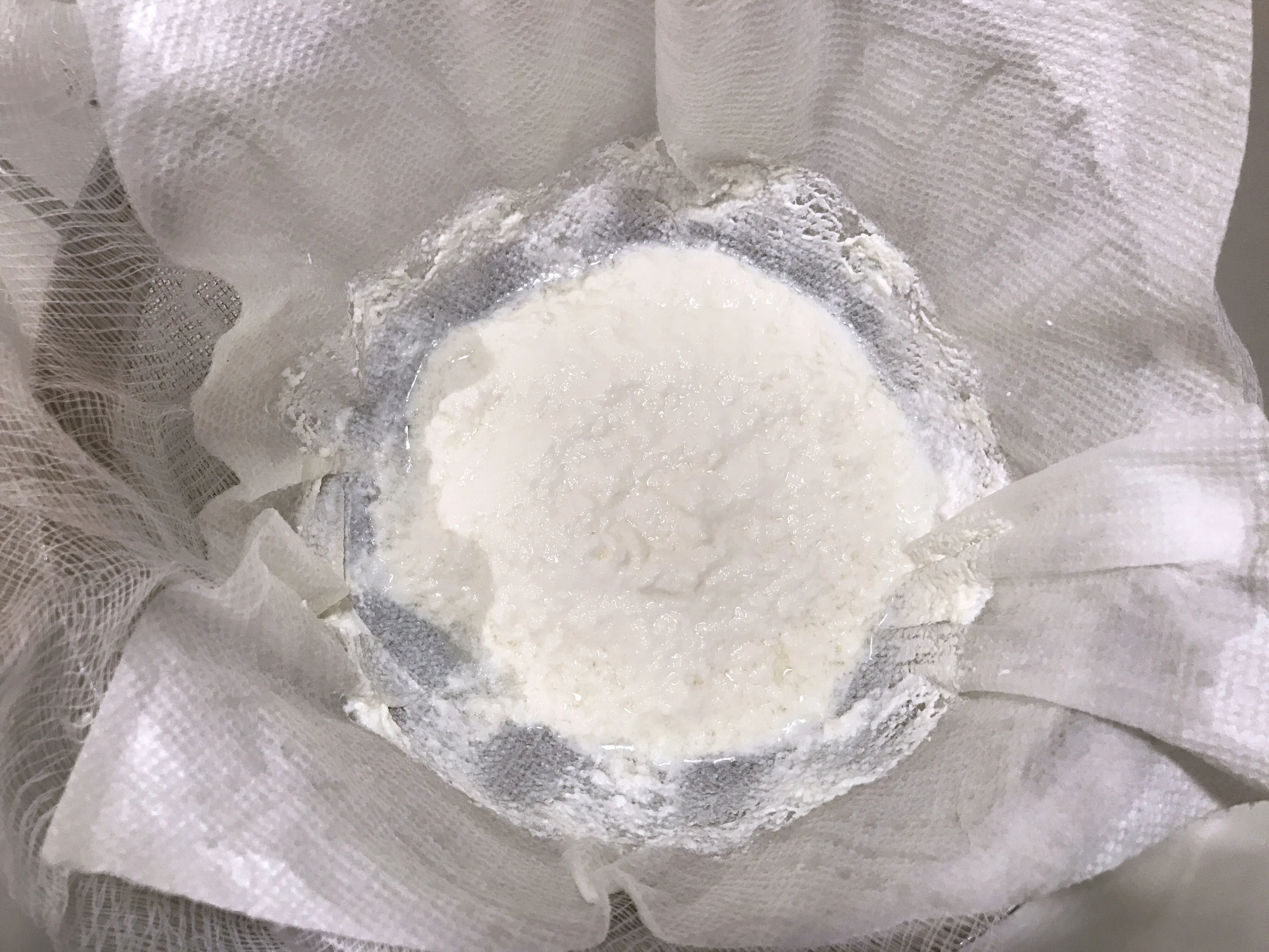 Ricotta curds.jpg
