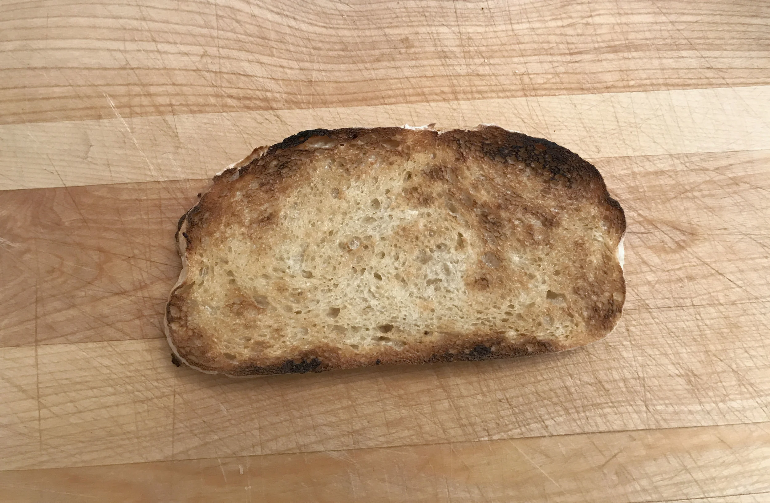 7554.jpg