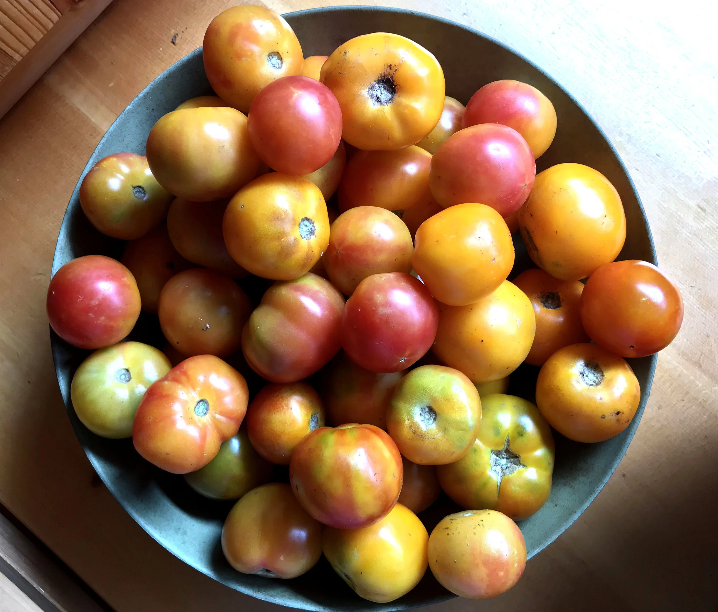 Heirloom Tomatoes.jpg