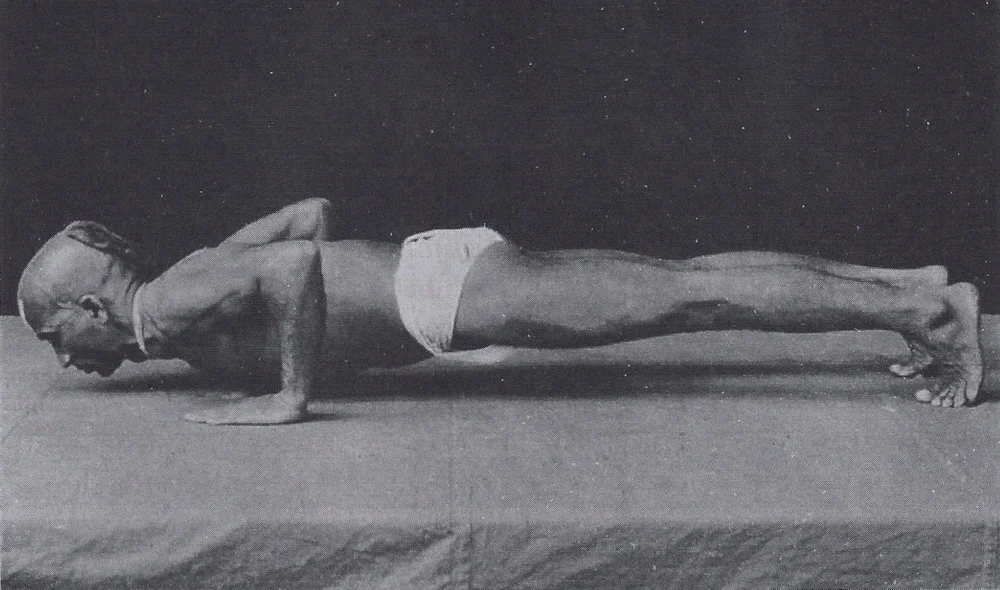 Online-Yoga-Classes-LePOP.yoga-Ioana-Pop-Teacher-Geneva-Geneve-History-Yoga-Styles.JPG
