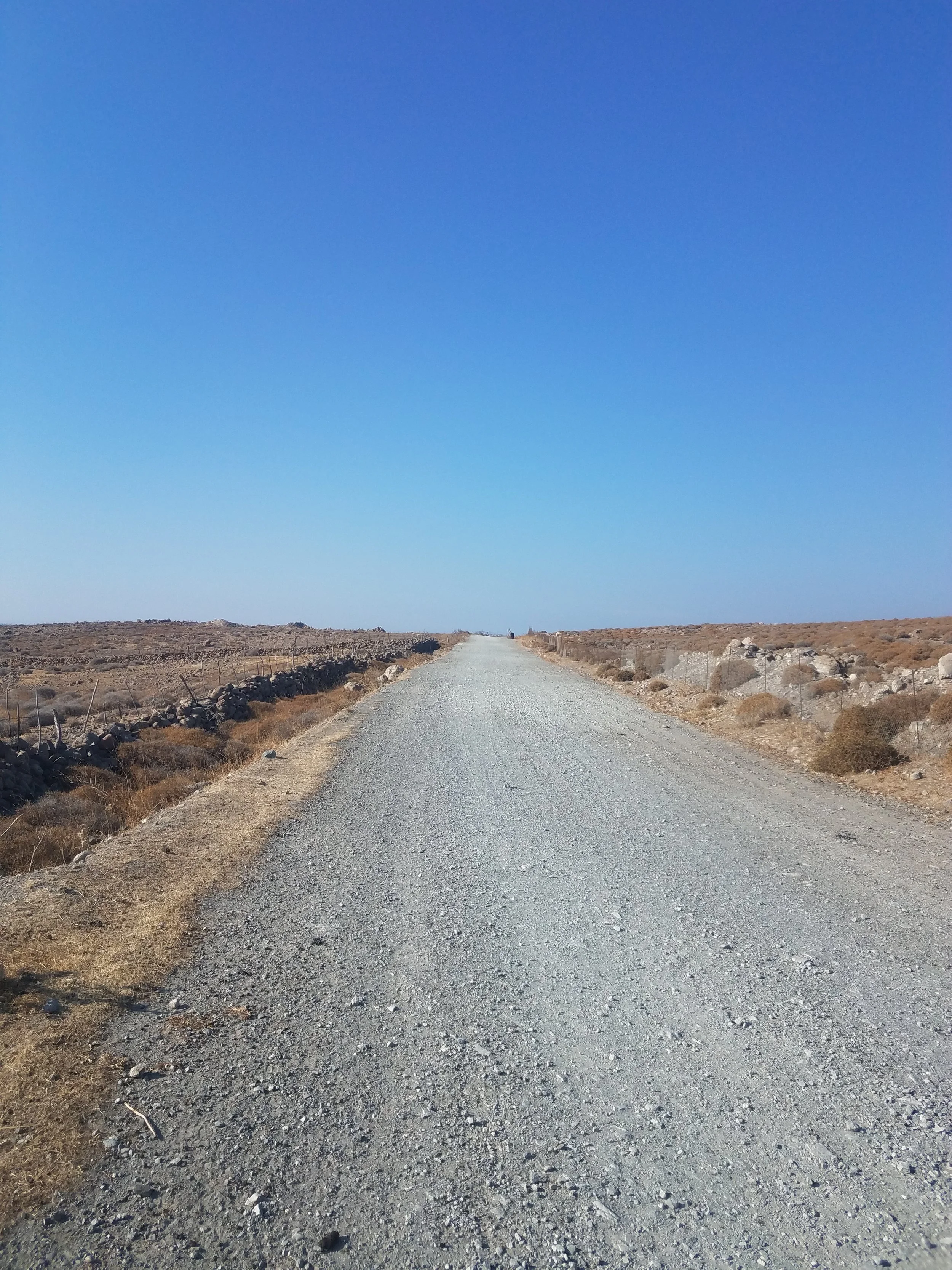 20171005_160235.jpg
