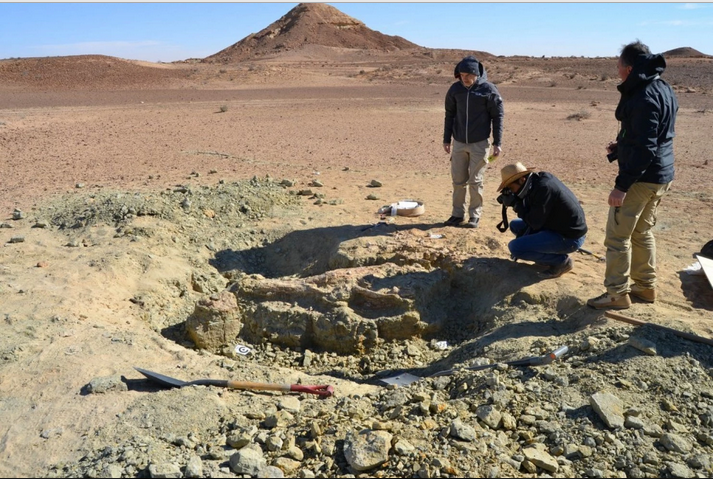 The excavation site of the first specimen of the new crocodile-like species, Machimosaurus rex. These fossils were found in the Tataouine region of southern Tunisia, on the edge of the Sahara Desert. Credit: Federico Fanti/Bologna University