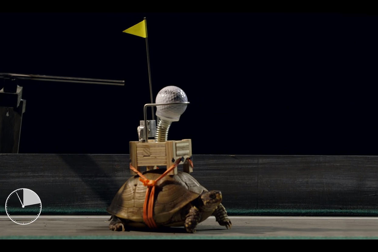 Still frame from World's Slowest Rube Goldberg | Field Day Presents Bob Partington. Credit: Field Day/YouTube