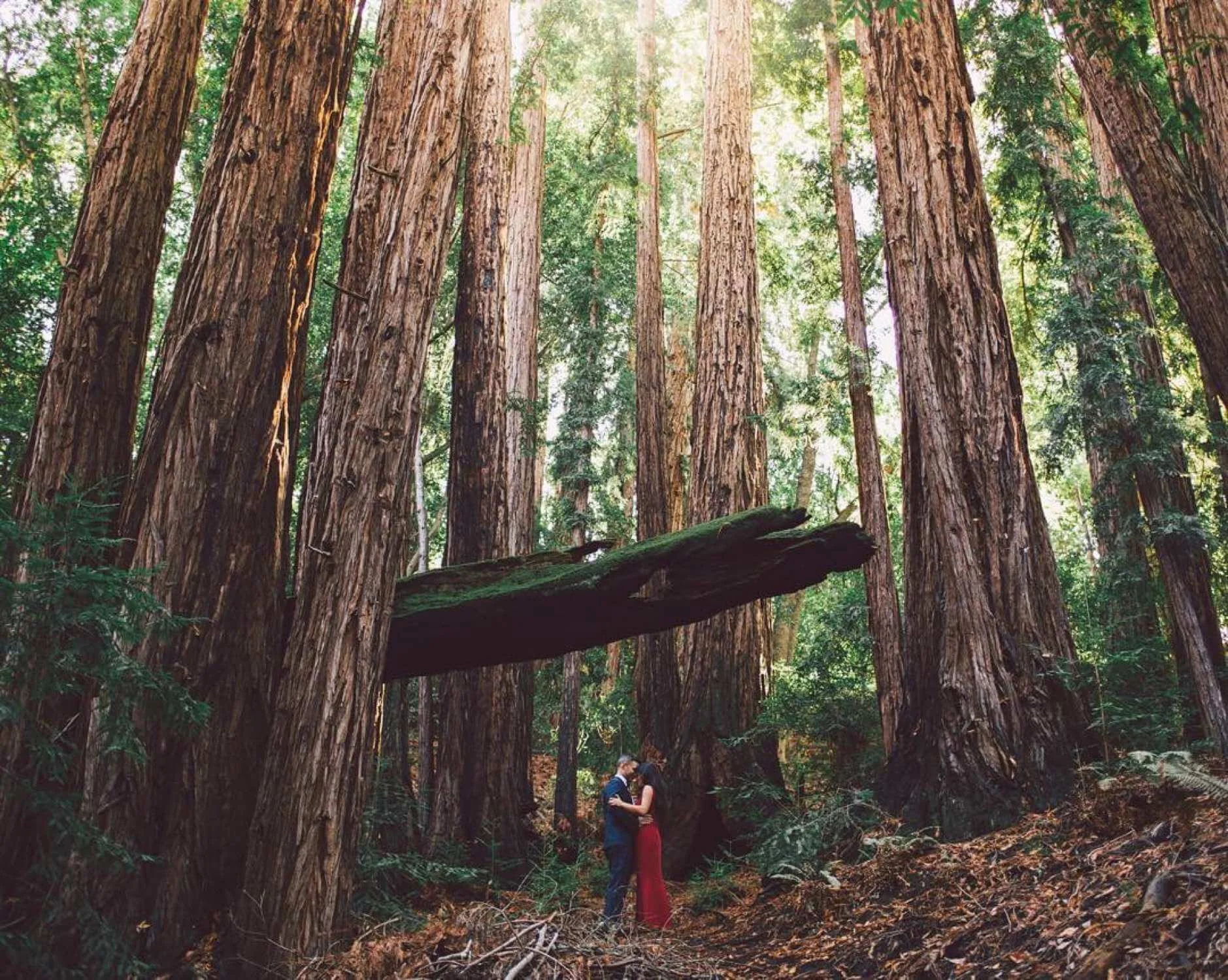 kelseaholderphoto - 2