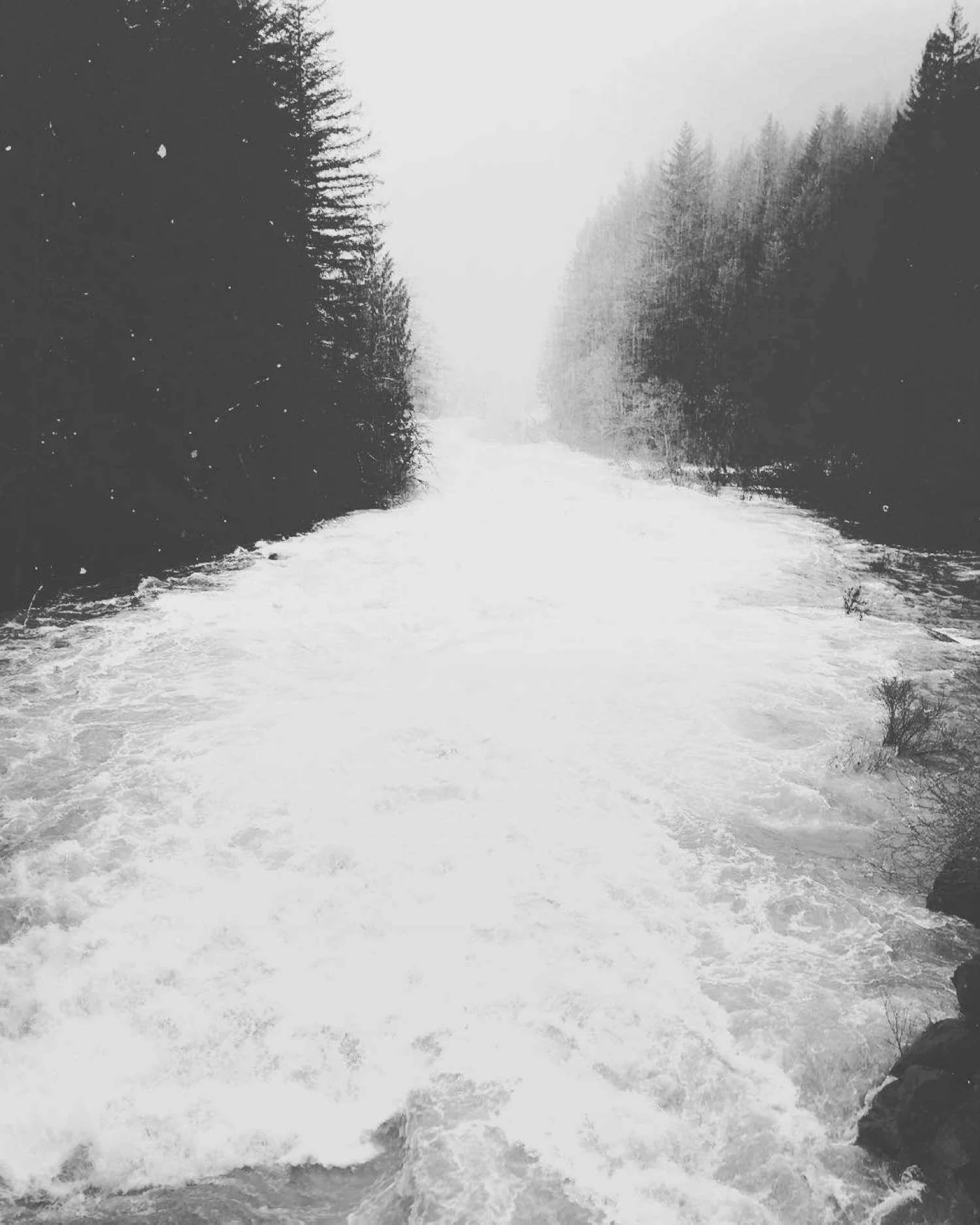 svenofthegorge