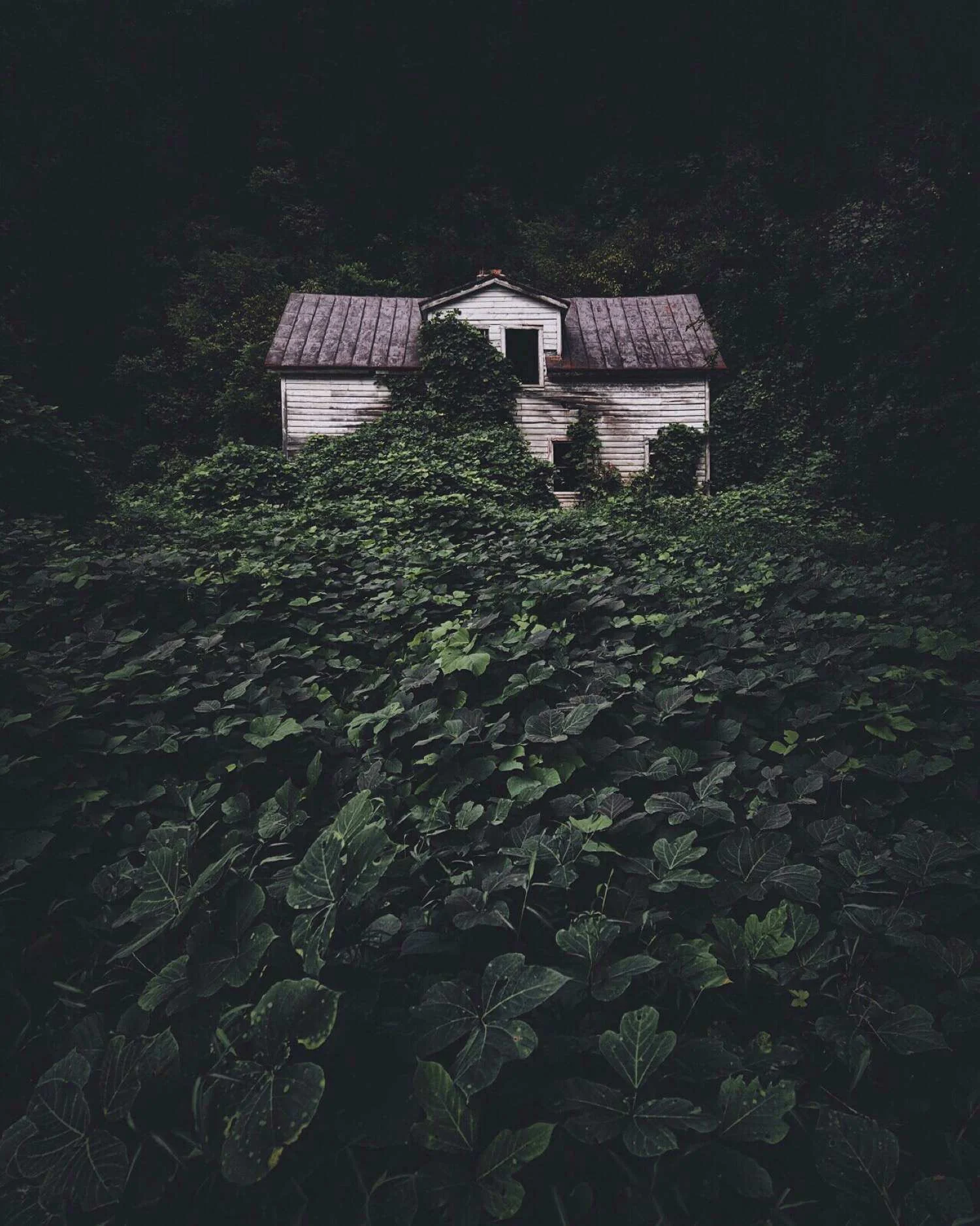 favorite-1.jpg