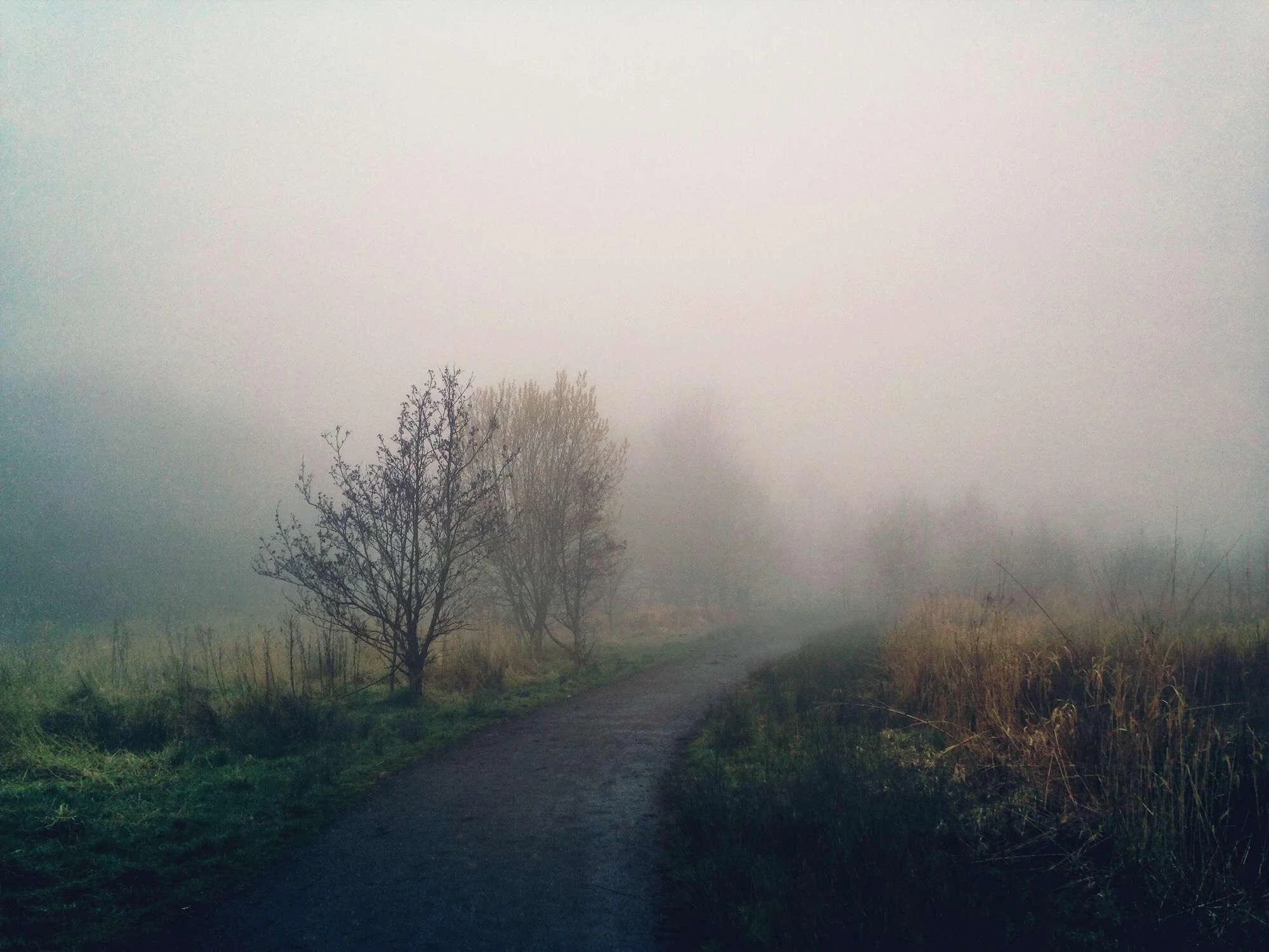 1462083721_full.jpeg