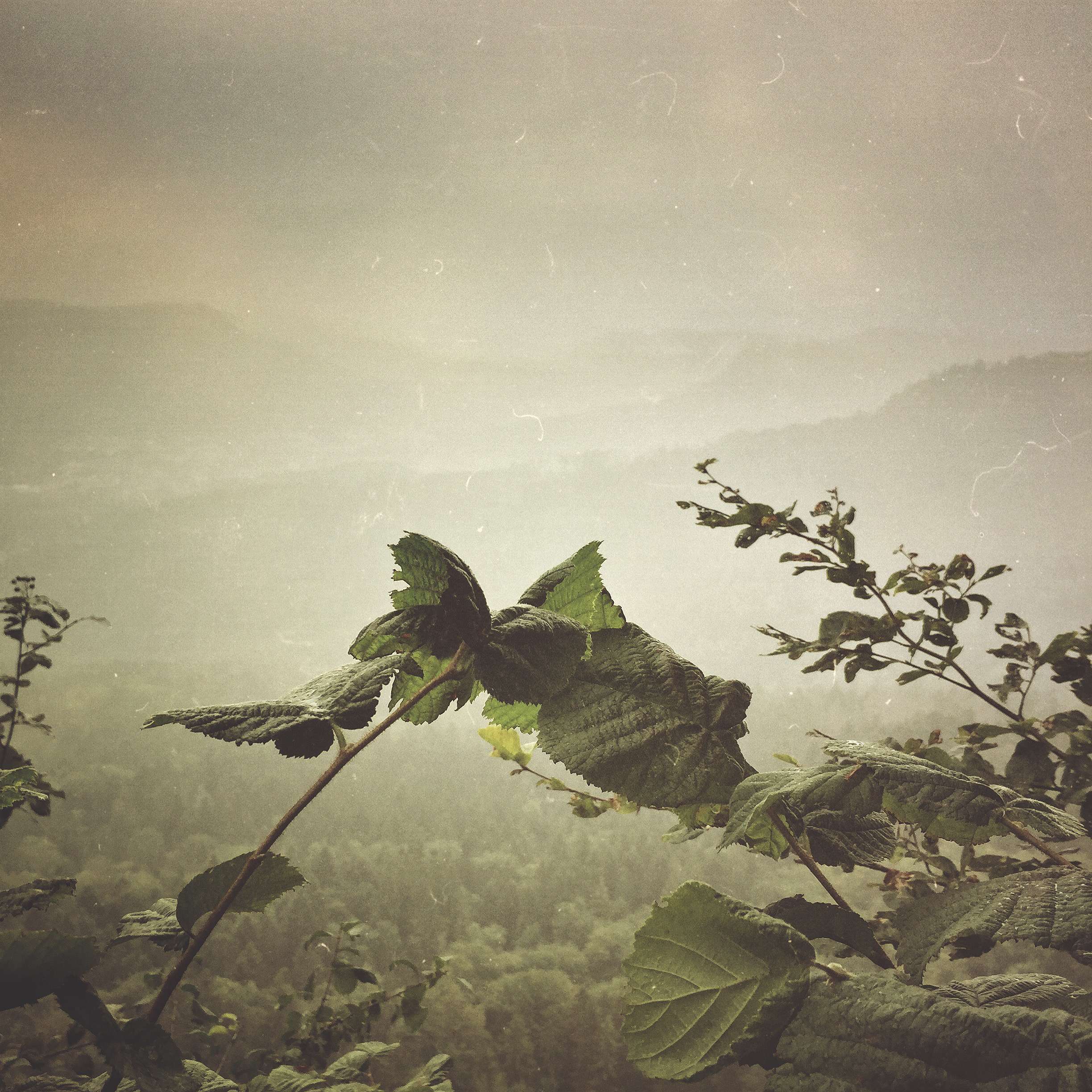 After Mextures