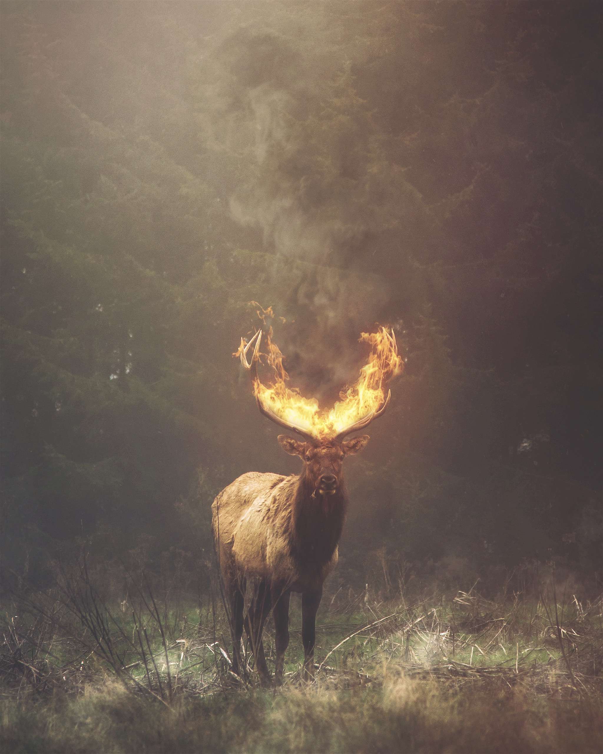 After Mextures