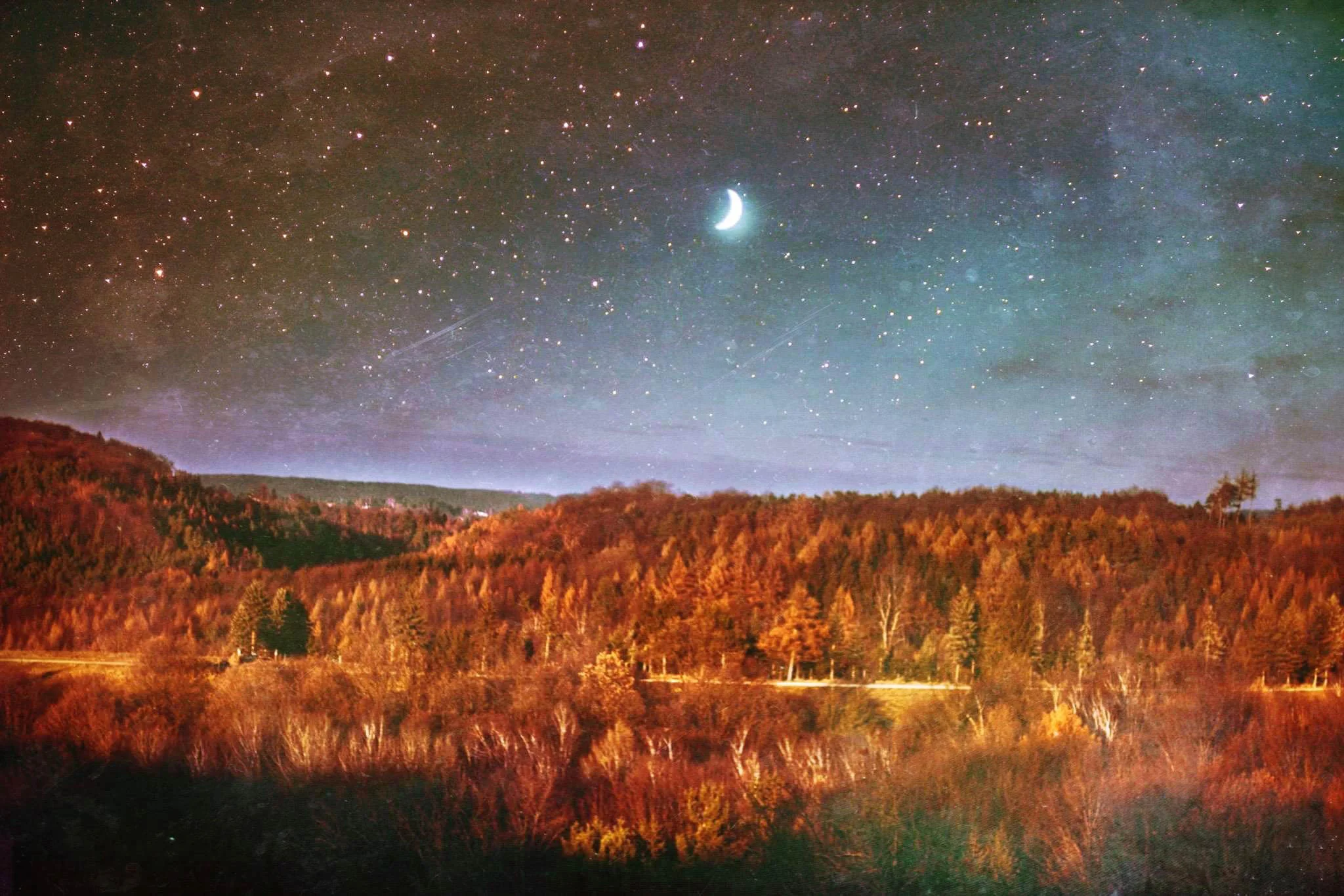 Soft Moon.jpg