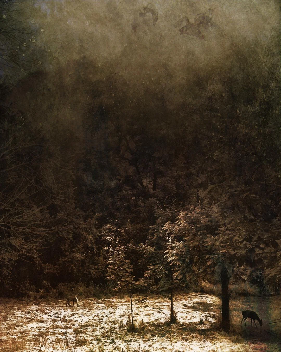 darkinlight_bnw - SLYTKMT.jpg