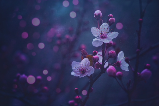 Unknown-12.jpeg
